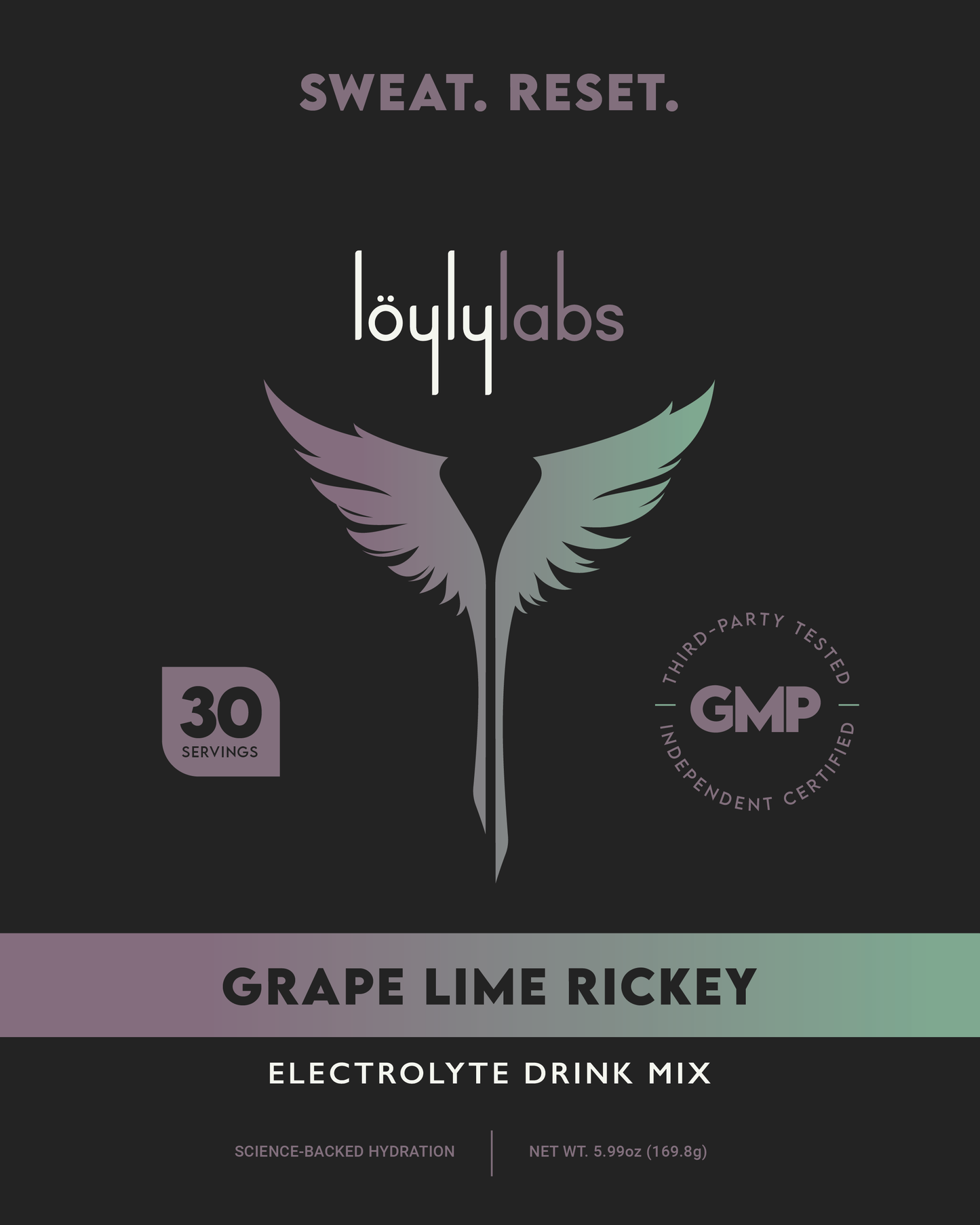 Electrolyte Hydration Stick Pack - Grape Lime Rickey - 30 Pack