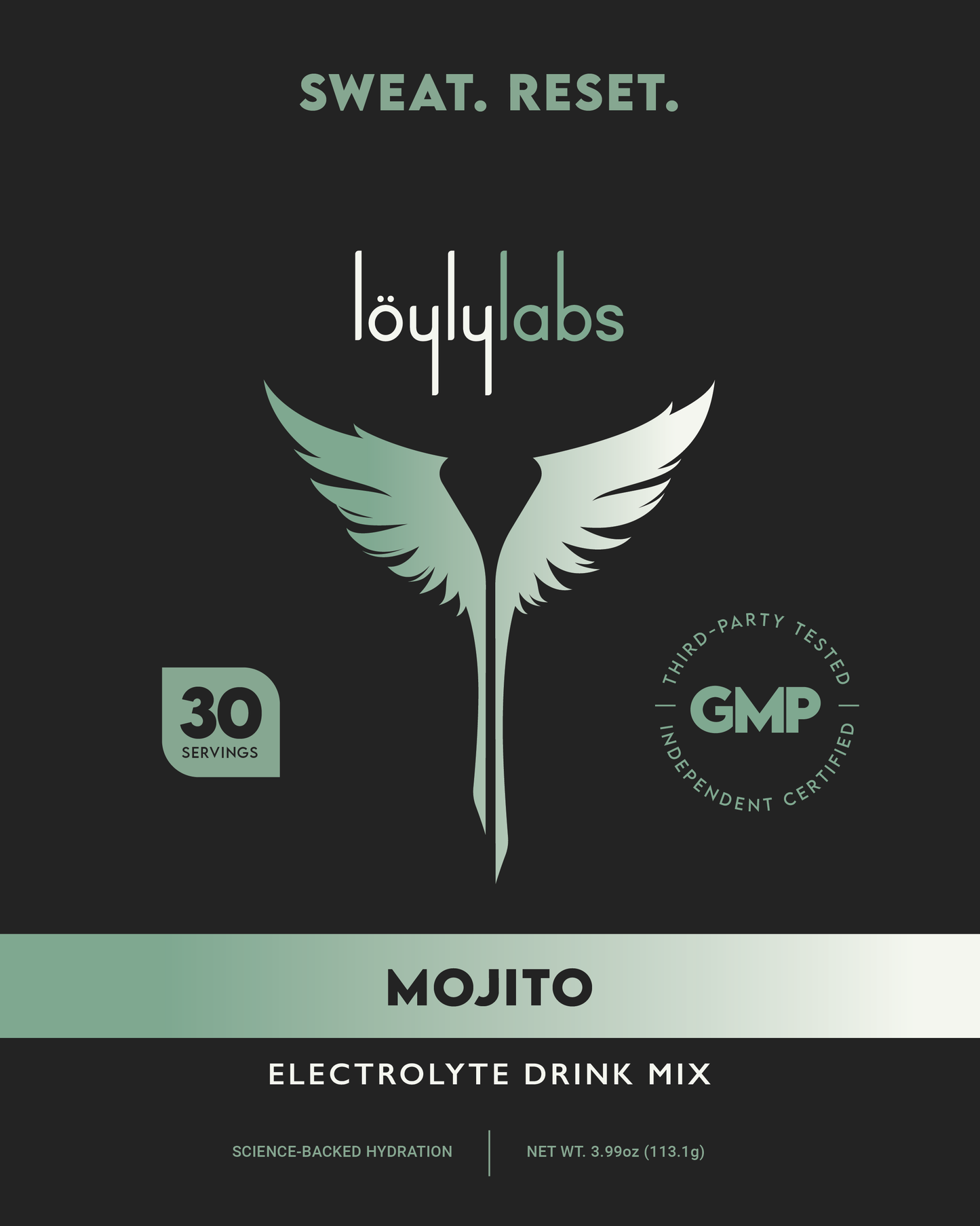 Electrolyte Hydration Stick Pack - Mojito - 30 Pack